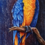 COCO'S PARROT 2 © copyright 201 Brigitte CODARIN